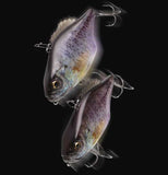 Imakatsu MAGNUM GILLSONIC