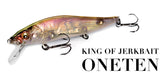 Megabass VISION ONETEN