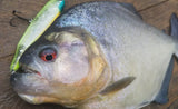 Megabass GIANT DOG-X