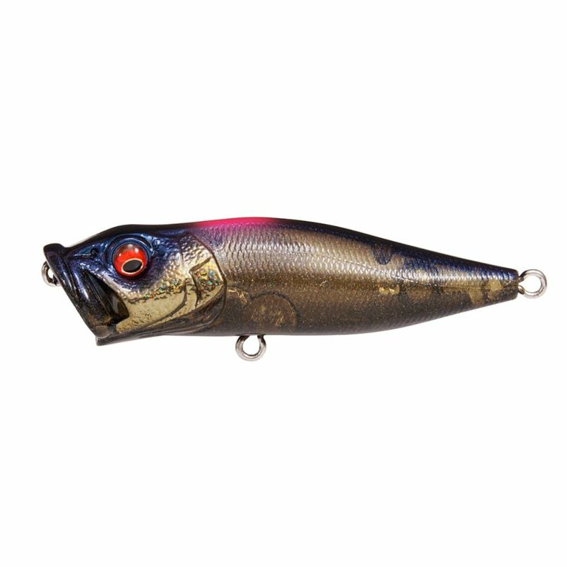 MEGABASS POP-X (SP-C) 唐獅子2021 3個セット Megabass POP-X (SP-C)