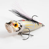 2026 Limited Color SP-C GIN DARUMA