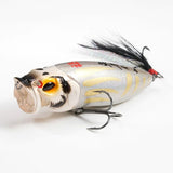2026 Limited Color SP-C GIN DARUMA