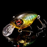 pre-order Respect Color GIN TONIC TIGER