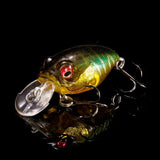 pre-order Respect Color GIN TONIC TIGER