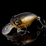 pre-order Respect Color TWILIGHT SECRET