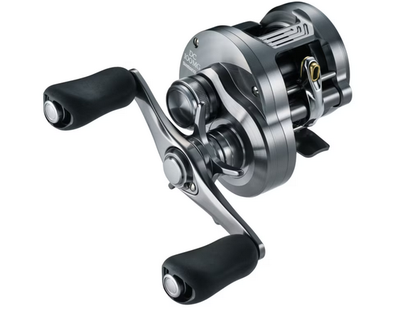 SHIMANO 26 CALCUTTA CONQUEST DC – blueseabass