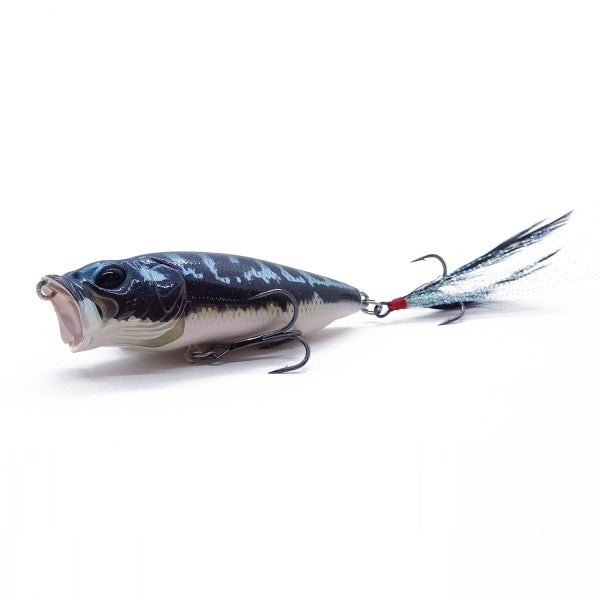 R*1様 Megabass popmax tomanマレシア限定 Megabass POPMAX Limited Color – blueseabass