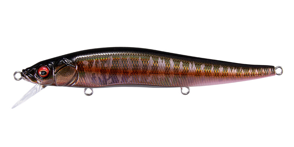 最終値下Megabas メガバス グレートハンティングGH110 限定 ドジョウ