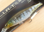 HAMA SHAD LR-T 81SR / SF 7Palms Limited Color