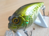 Megabass MR-X GRIFFON