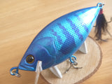 deps REALISER Jr. AHLI 2008 web memberes limited color