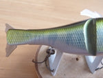 Unused XJ-100