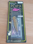 POPX SW KURODAI Limited
