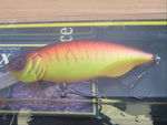 BAIT-X 2005
