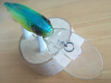 Used LIVE-X LEVIATHAN 2005