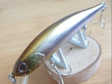 Evergreen SIDESTEP
