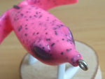 Unused BASIRISKY HARD BELLY 60