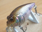 Megabass SR-X GRIFFON