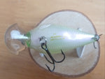 Unused SR-X GRIFFON 1999