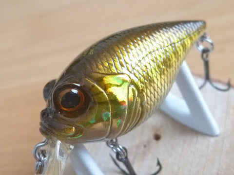 Megabass SR-X GRIFFON