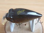 Unused SR-X GRIFFON 2000