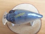 Unused SR-X GRIFFON 2005