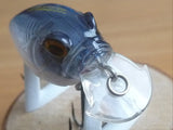 Unused SR-X GRIFFON 2005