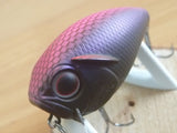 OSP CO-BUZZN’