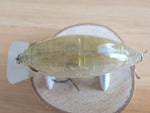 Used BLITZ ABALONE