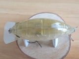 Used BLITZ ABALONE