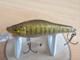 Unused LIVE-X SMOLT SP 2004