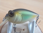 Unused BABY GRIFFON 2005