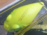 MR-X GRIFFON 2005