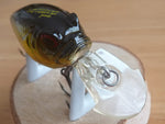 Unused MR-X GRIFFON 2001