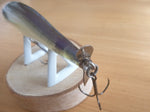 Unused X-80 PROP DARTER 80 2001