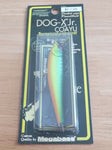DOG-X Jr. COAYU 2004