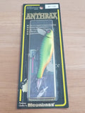 ANTHRAX 2005