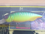 BAIT-X 2005