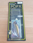 POPX 2005