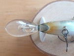 Used IS WASP 50