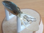 Used IS WASP 50
