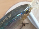 Used IS WASP 50