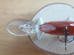 Unused IS WASP 55