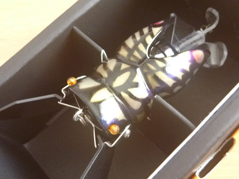 Megabass Gatta-X TURBULENCE