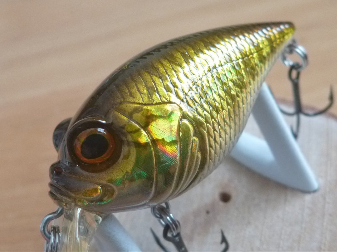 New Arrival – blueseabass