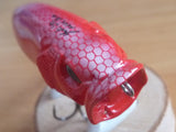 Used POPMAX Limited Color SP-C