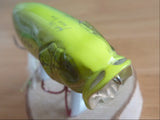 Used POPMAX