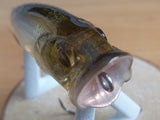 Unused BABY POPX 2012