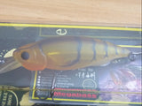 BAIT-X 2002