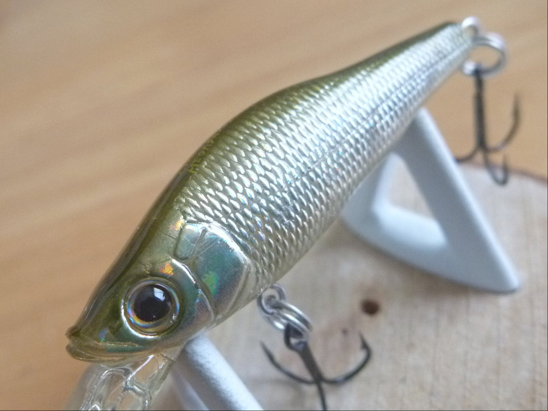 New Arrival – blueseabass